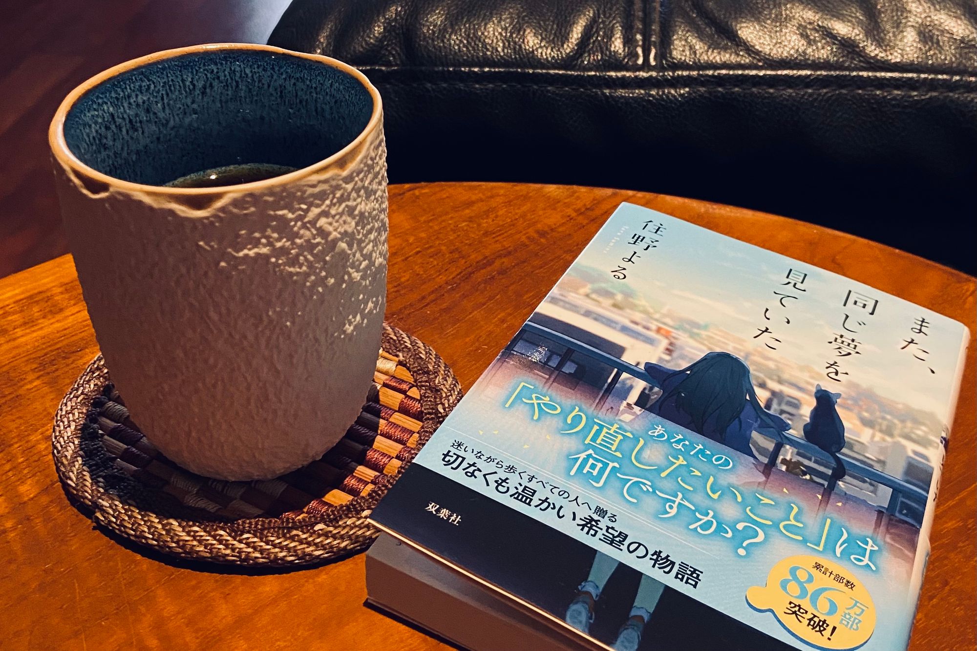 A Book Review: Mata, Onaji Yume wo Miteita